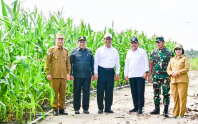 uploads/news/2023/12/jagung-tumbuh-subur-di-53753b2b23edb01.jpg
