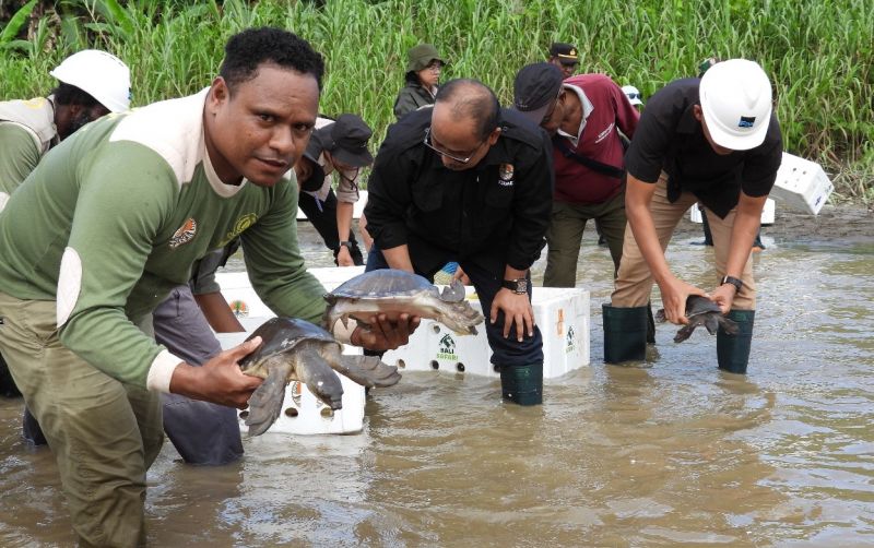 uploads/news/2023/12/kepulangan-ratusan-labi-labi-moncong-67357ed103f3021.jpg