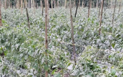 uploads/news/2023/12/nasib-pertanian-lereng-gunung-45767e8ad0293d7_400.jpg