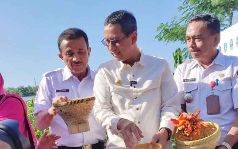 uploads/news/2023/12/panen-raya-cabai-atasi-29226662c7d2f6e.png