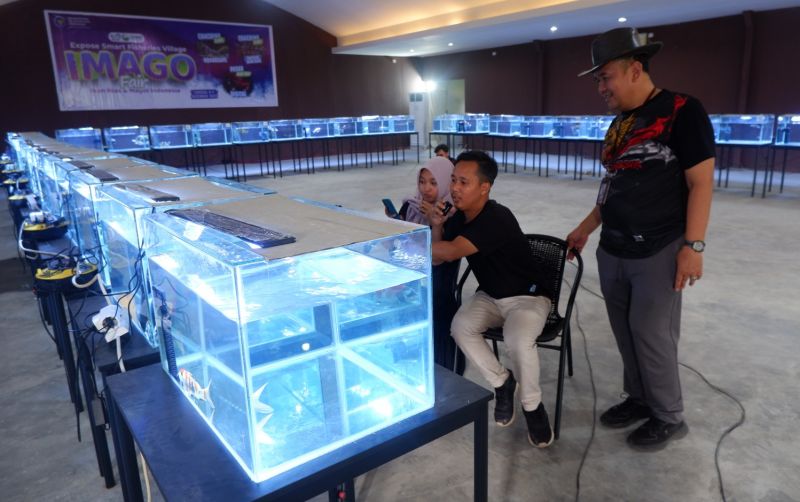 uploads/news/2023/12/pasar-ikan-hias-digital-6268366588093f1.jpeg