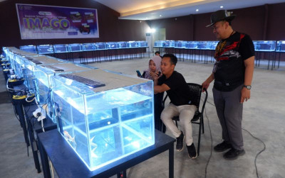 uploads/news/2023/12/pasar-ikan-hias-digital-6268366588093f1_400.jpeg