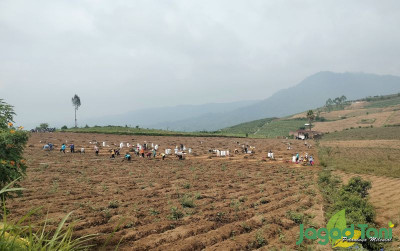 uploads/news/2023/12/pertanian-ladang-suara-capres-85763b01eeca405_400.jpg