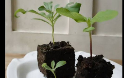 uploads/news/2023/12/soil-block-teknologi-ramah-59932e68bd45475_400.jpg