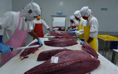 uploads/news/2023/12/tahun-tuna-2024-kkp-577356029322664_400.jpeg