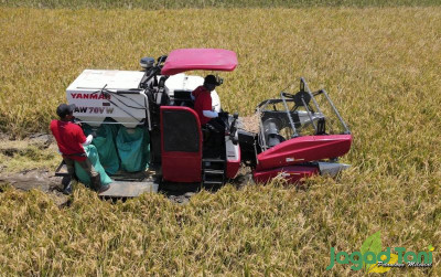 uploads/news/2023/12/yanmar-aw-70-vw-80865d0096ec6c8_400.jpg