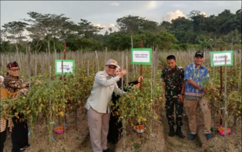 uploads/news/2024/01/akselerasi-sdm-demi-tingkatkan-93372ca62da261f.jpg