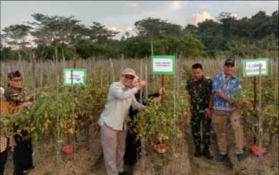 uploads/news/2024/01/akselerasi-sdm-demi-tingkatkan-93372ca62da261f_400.jpg