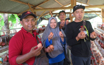 uploads/news/2024/01/budidaya-ayam-petelur-kawasan-15396a8a1f532d7_400.jpg