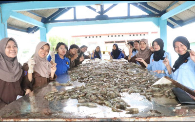 uploads/news/2024/01/budidaya-udang-vaname-dikembangkan-20796a9a468a22c_400.jpeg