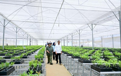uploads/news/2024/01/hasil-pemantauan-pengendalian-deforestasi-96790d17c0d0e71_400.jpg
