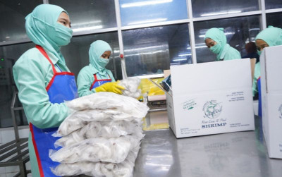 uploads/news/2024/01/indonesia-incar-pasar-ekspor-683986d03da6882_400.jpeg