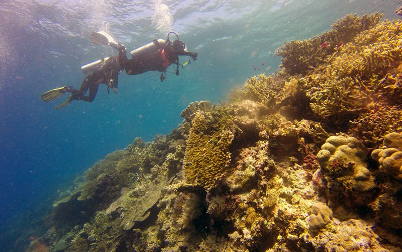 uploads/news/2024/01/indonesia-timor-leste-111126938a36c97.jpg