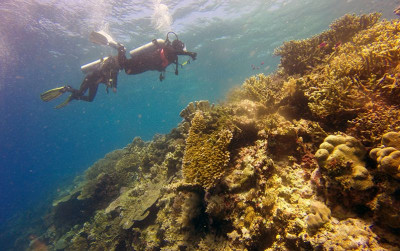 uploads/news/2024/01/indonesia-timor-leste-111126938a36c97_400.jpg