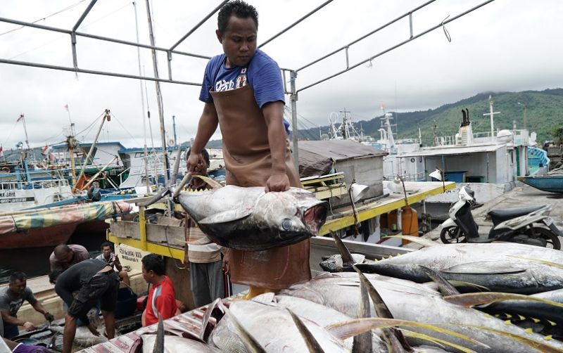 uploads/news/2024/01/jaga-kualitas-perikanan-indonesia--9343255d8a175c8.jpg