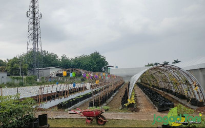 uploads/news/2024/01/mas-miracle-farm-eduwisata-23697c4874a3a60_400.jpg