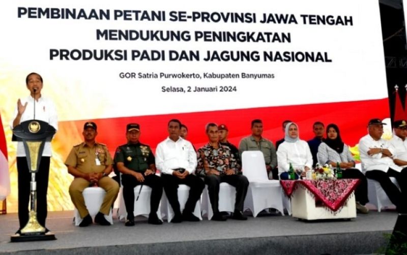 uploads/news/2024/01/nilai-impor-jagung-turun--56019e31a576e3e.jpg