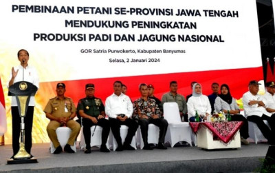 uploads/news/2024/01/nilai-impor-jagung-turun--56019e31a576e3e_400.jpg