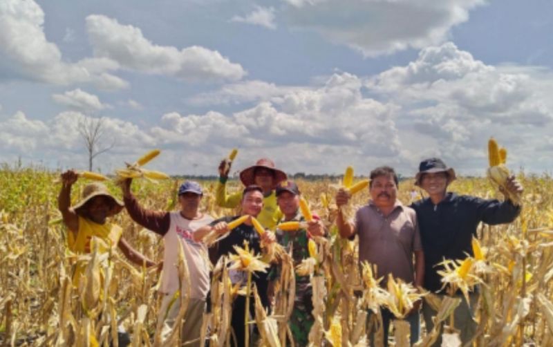 uploads/news/2024/01/panen-jagung-bukti-keberhasilan-44151d1da2843be.jpg