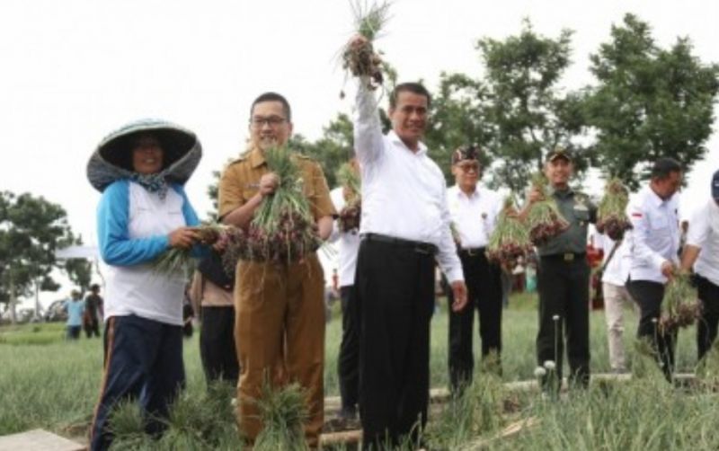 uploads/news/2024/01/panen-raya-produksi-bawang-77220b3f5454ed9.jpg