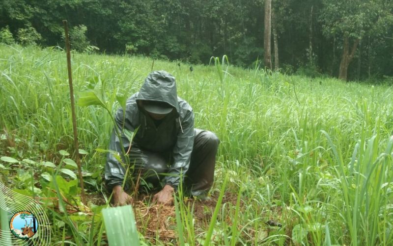 uploads/news/2024/01/pemulihan-ekosistem-cagar-alam-842138dbc7add78.jpg
