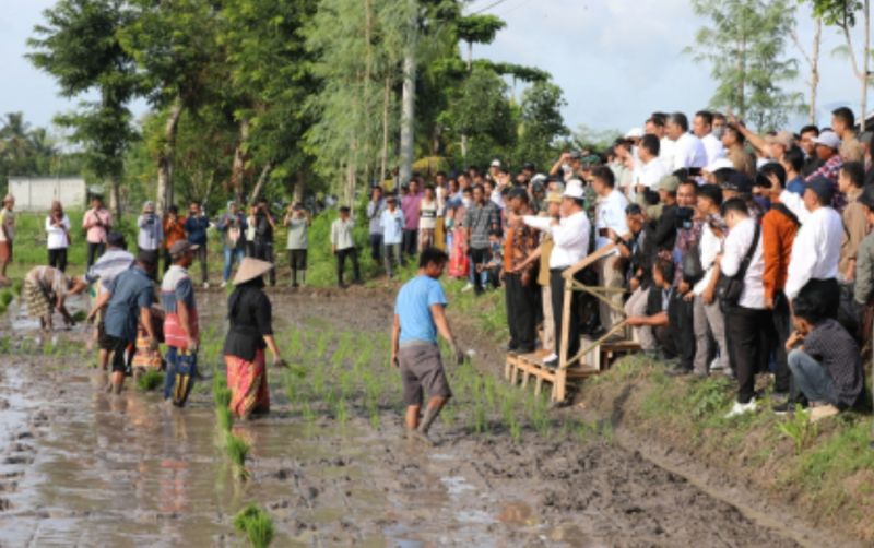 uploads/news/2024/01/petani-ntb-terapkan-program-68305333dd57347.jpg