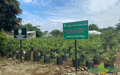 uploads/news/2024/01/sukahati-kampung-pembibitan-penangkal-14849c95737ade7_400.jpg