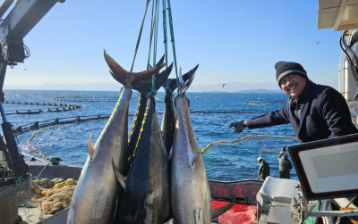 uploads/news/2024/01/teknologi-budidaya-tuna-turki-225504f17512210_400.jpeg