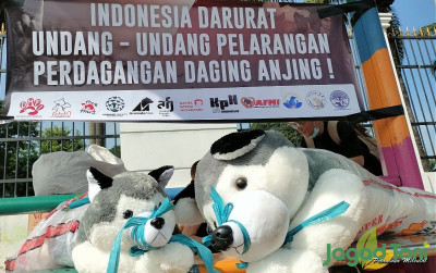uploads/news/2024/02/aksi-damai-suarakan-indonesia-90033b68308c720_400.jpg