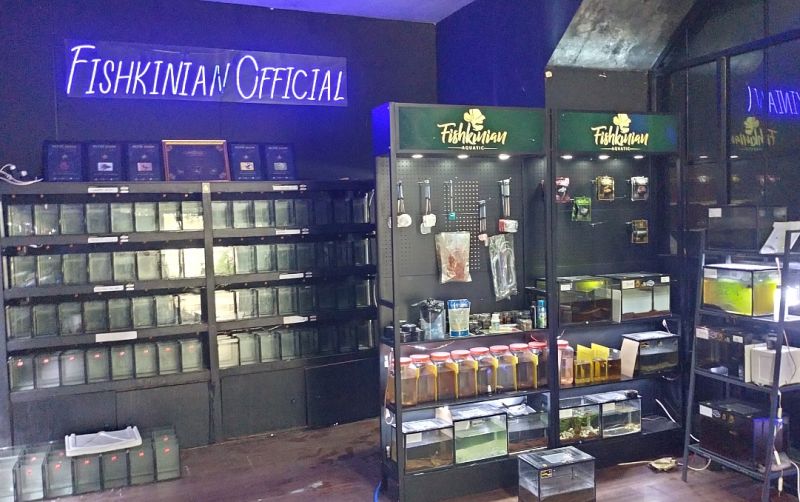 uploads/news/2024/02/fishkinian-official-supermarket-ikan-66631d5a765d342.jpg