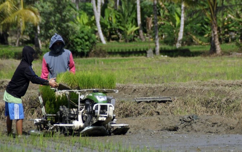 uploads/news/2024/02/ip400-belum-diterapkan-menyeluruh-236628e4481fd3d.jpg