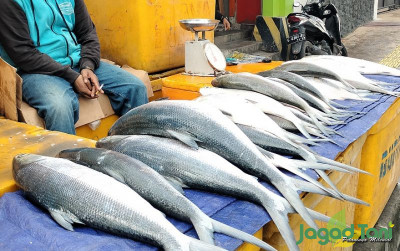 uploads/news/2024/02/jelang-imlek-bandeng-di-209692895bd1d92_400.jpg