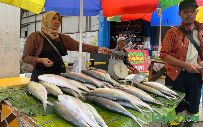 uploads/news/2024/02/kandungan-bandeng-9609387ae255104.jpeg