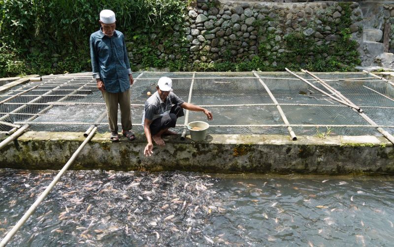 uploads/news/2024/02/peluang-tilapia-indonesia-jadi-35443af5194d8c2.jpeg