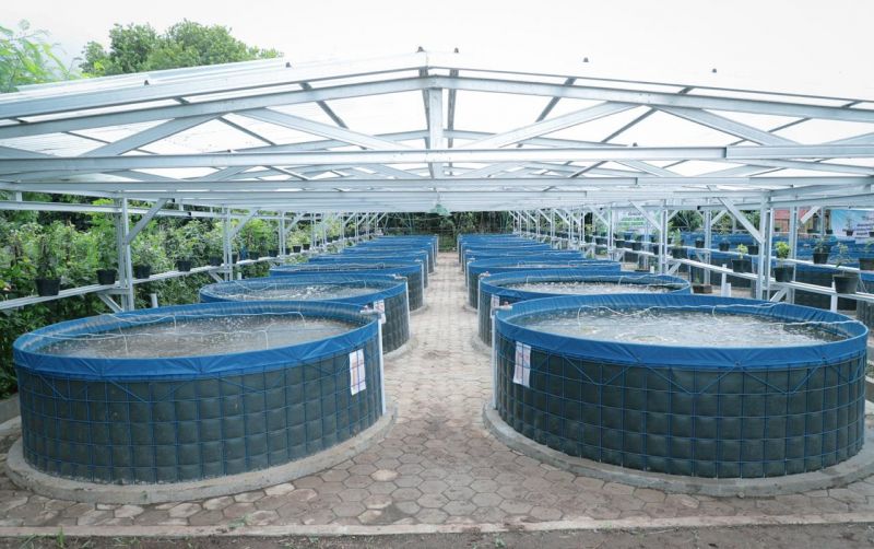 uploads/news/2024/02/pemanfaatan-energi-matahari-dalam-564021e9c707038.jpeg