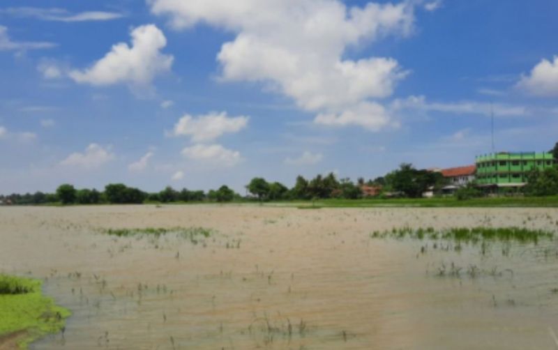 uploads/news/2024/02/penanganan-lahan-pertanian-pasca-63682d6304dd5b9.jpg