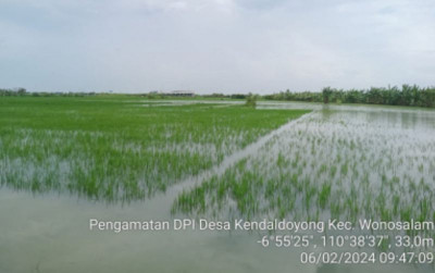 uploads/news/2024/02/persawahan-terendam-banjir-di-931941ff3b99277_400.jpg