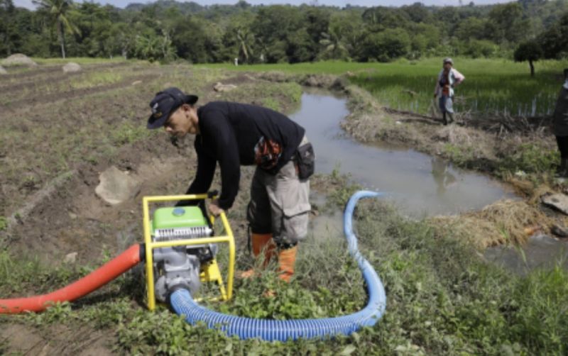 uploads/news/2024/02/pompanisasi-tingkatkan-produktivitas-pertanian-16025d324d3375a.jpg