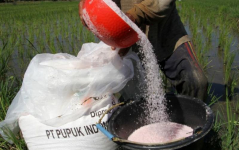 uploads/news/2024/02/presiden-jokowi-setujui-pupuk-946941c065853f5.jpg
