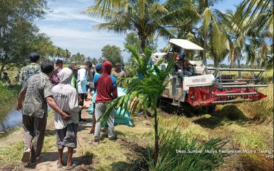 uploads/news/2024/02/sumsel-gelar-panen-diprediksi-30060992a464e1e_400.jpg
