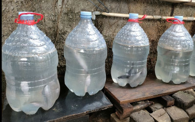 uploads/news/2024/02/ternak-lele-memanfaatkan-botol-21534777d339b5f_400.jpg