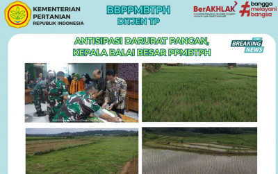 uploads/news/2024/03/antisipasi-darurat-pangan-berbagai-15319c26be60cfd_400.png