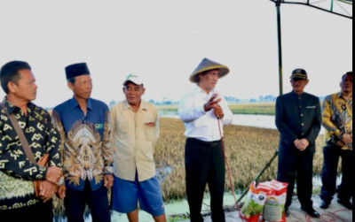 uploads/news/2024/03/bantuan-bagi-petani-terdampak-995534e5a746144_400.jpg