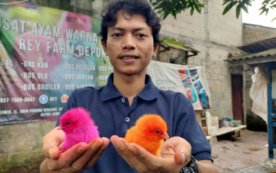 uploads/news/2024/03/bisnis-doc-pelangi-menguntungkan-4299377f10a27dc_400.jpg