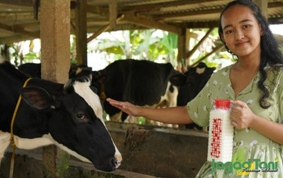 uploads/news/2024/03/bisnis-susu-sapi-murni-83007e43db53500_400.jpg