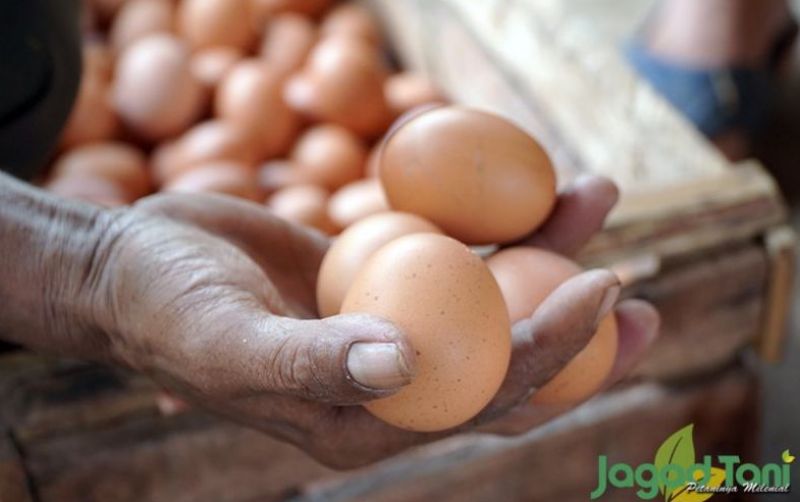 uploads/news/2024/03/harga-telur-melambung-harga-268666b6945e63d.jpg