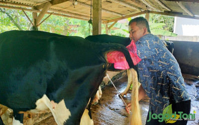 uploads/news/2024/03/kawin-buatan-tingkatkan-kualitas-34114412353d8da_400.jpg