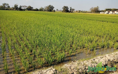 uploads/news/2024/03/kembangkan-pertanian-kadin-merapat-97299d036e0e152_400.jpg