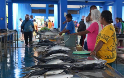 uploads/news/2024/03/ketersediaan-dan-harga-ikan-19773a2bf84f01c_400.jpg