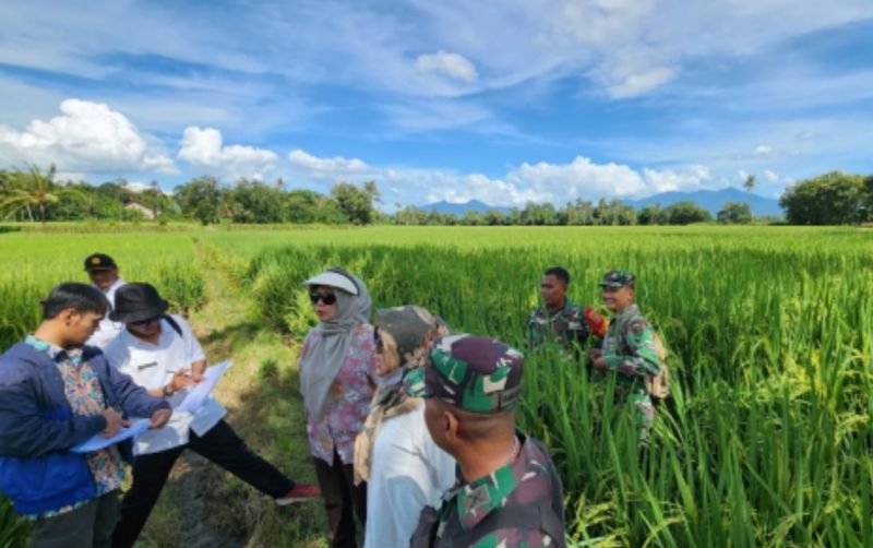 uploads/news/2024/03/lampung-dijadikan-sentra-beras--76839f3543d7191.jpg
